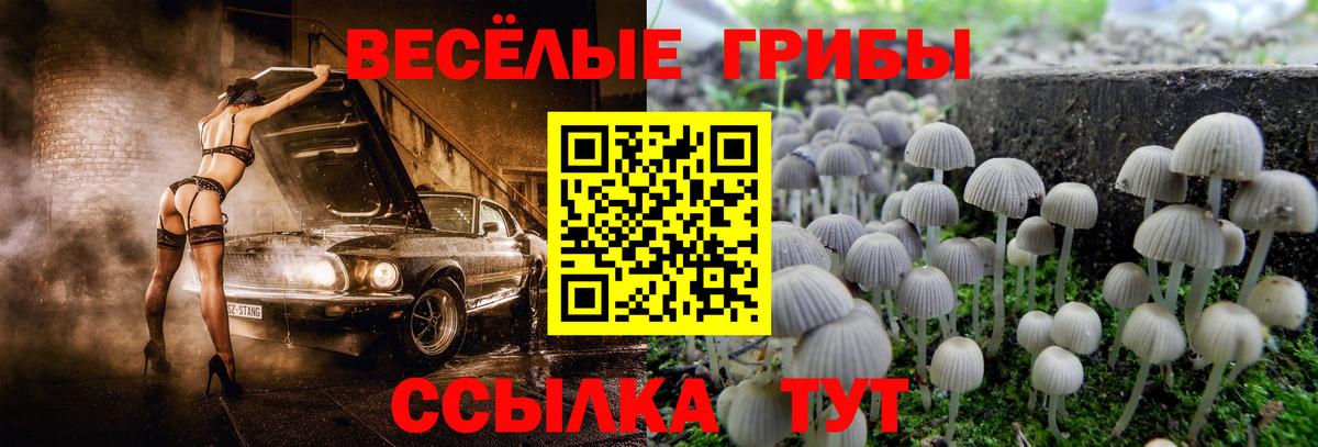 Галлюциногенные грибы Magic Shrooms  Вход с VPN  Долгопрудный  Псилоцибиновые грибы мицелий 